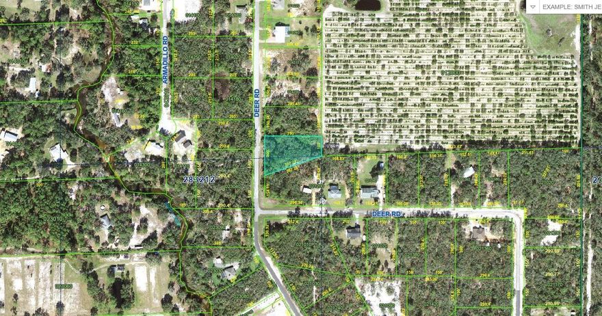 Build your dream home on this beautiful lot located in LAKE REEDY ESTATES!  Enjoy rural living in a community setting to enjoy!  Backs up to an orange grove with newer homes in the exclusive one-acre home subdivision! This subdivision sits off the road for seclusion with a gate at the entrance PLUS this lot backs up to an orange grove...no neighbors in your back yard! Deed restrictions require a site built home. This is a lovely area full of wildlife to observe and enjoy! Arbuckle State Park nearby to enjoy to hike and observe nature.  Arbuckle Lake and Reedy Lake are close by, both with county boat landings. Plenty of peace and quiet in this beautiful setting yet only 30 minutes to shopping mall and dining and an hour drive to Orlando attractions, Orlando & Tampa International Airports.
