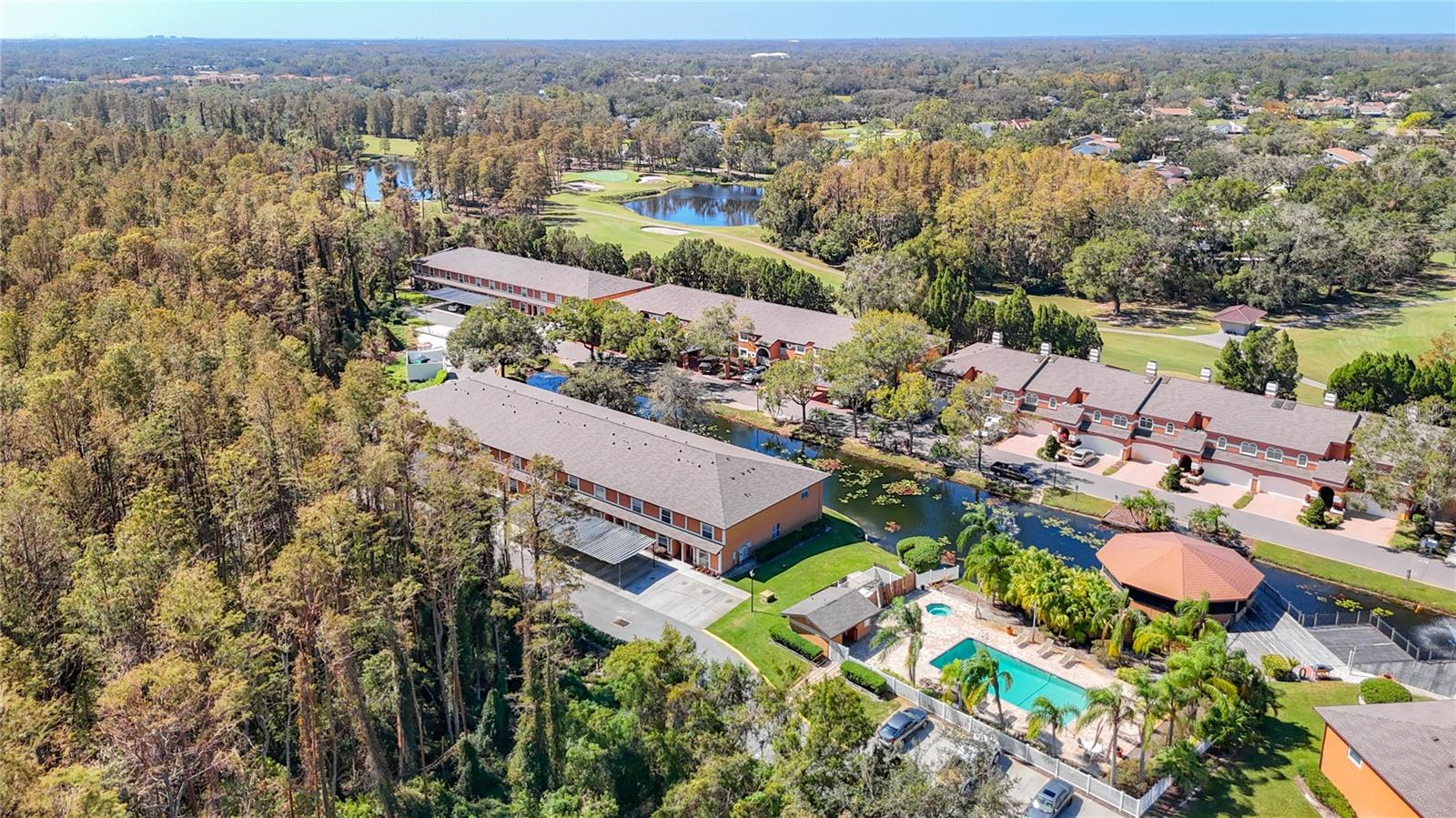 CARROLLWOOD COVE AT EMERALD GR - Residential