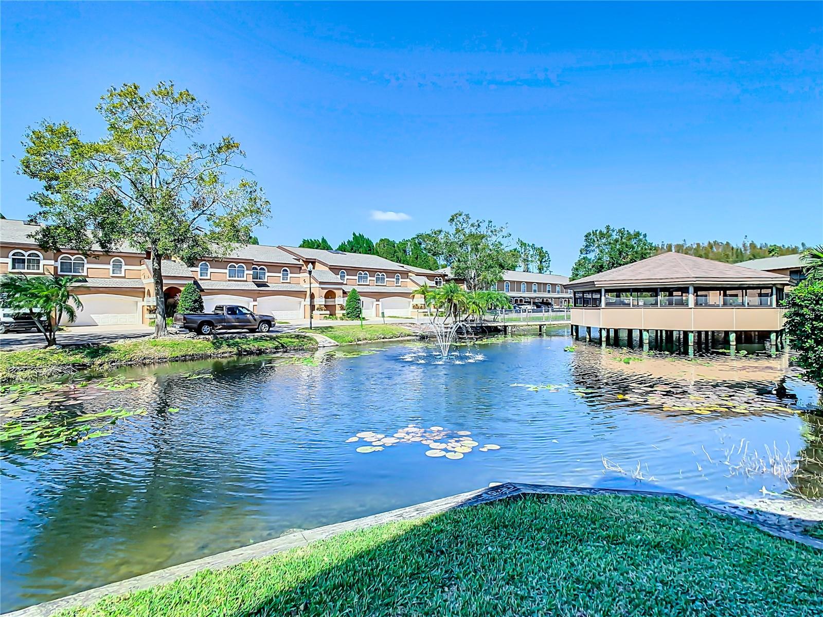 CARROLLWOOD COVE AT EMERALD GR - Residential