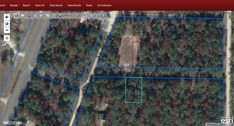 TBD NE 11TH PLACE WILLISTON FL 32696