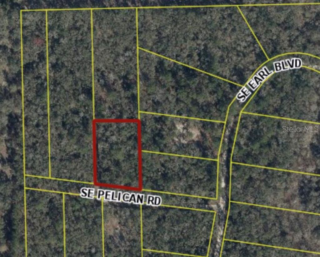 Photo of 164 SE Pelican Road, Branford, FL 32008 (MLS # GC535672)