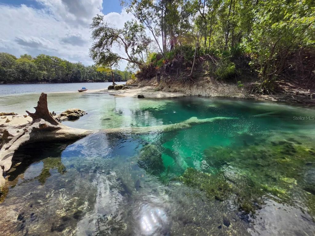 Photo of 164 SE Pelican Road, Branford, FL 32008 (MLS # GC535672)