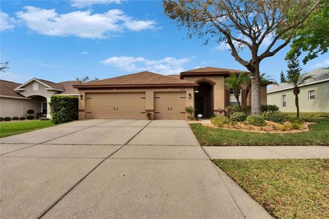Photo of 1220 Emerald Hill Way, Valrico, FL 33594 (MLS # TB8356344)