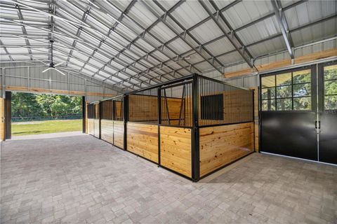 Tiny photo for 6191 SW 7th Ave Road, Ocala, FL 34471 (MLS # OM675553)