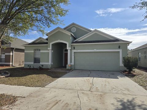 24612 PORTOFINO DRIVE LUTZ FL 33559