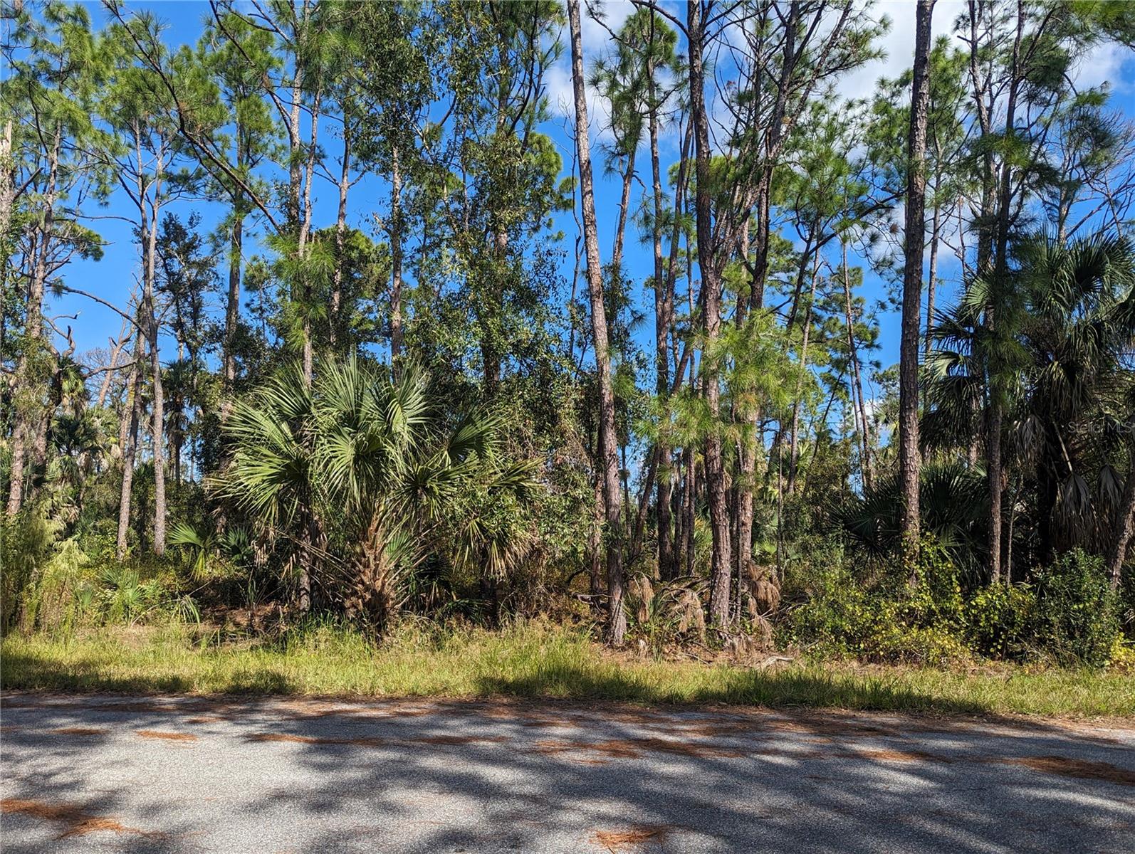 This beautiful wooded Northport lot is ready for you to build your perfect home! Enjoy country living with no HOA, CDD or Deed restrictions on a high and dry (no flood zone)slice of Florida paradise. You can not miss this amazing opportunity to build your own private oasis minutes to local shopping, restaurants, hospitals, and easy access to the interstate. Northport offers a lifestyle for all: 30 minutes to many local beaches, golf, sports complexes, mineral springs, rivers and local parks.