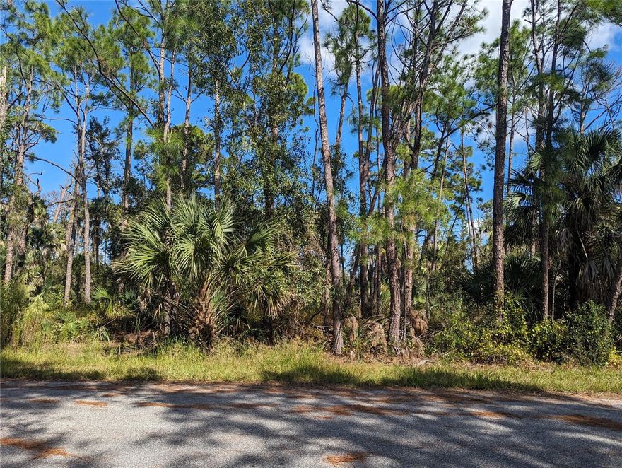 This beautiful wooded Northport lot is ready for you to build your perfect home! Enjoy country living with no HOA, CDD or Deed restrictions on a high and dry (no flood zone)slice of Florida paradise.  You can not miss this amazing opportunity to build your own private oasis minutes to local shopping, restaurants, hospitals, and easy access to the interstate.  Northport offers a lifestyle for all: 30 minutes to many local beaches, golf, sports complexes, mineral springs, rivers and local parks.