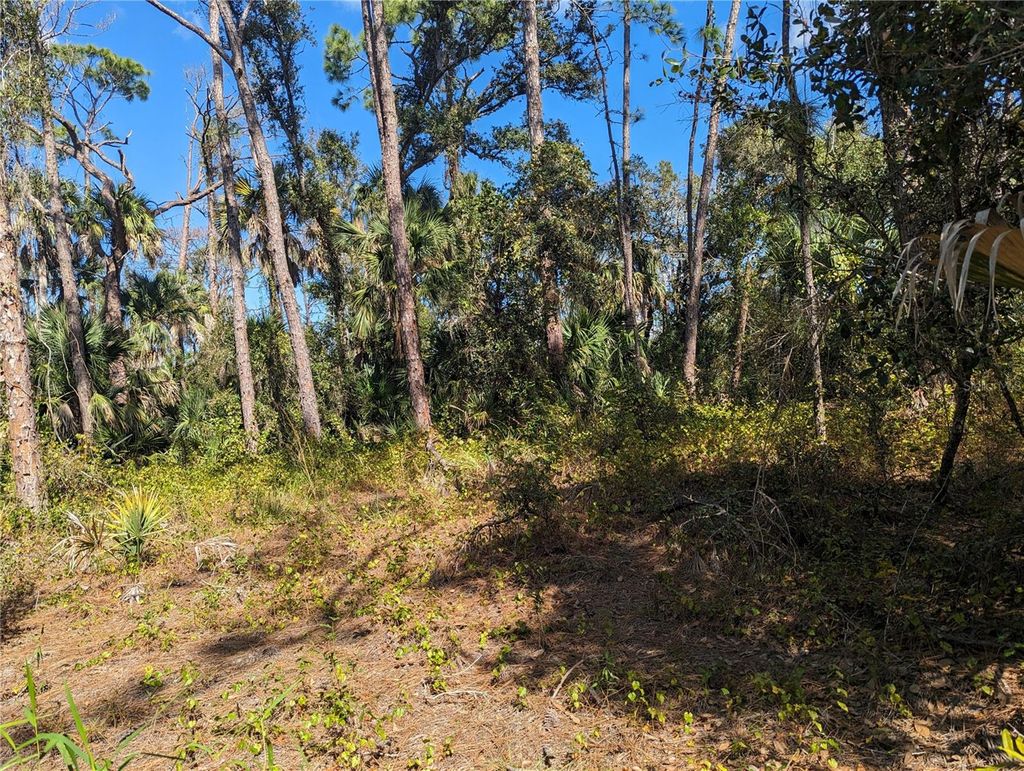 Photo of 0 Apricola Road #Lot 14, North Port, FL 34286 (MLS # T3486908)