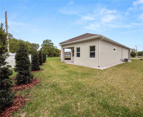 A home in POLK CITY