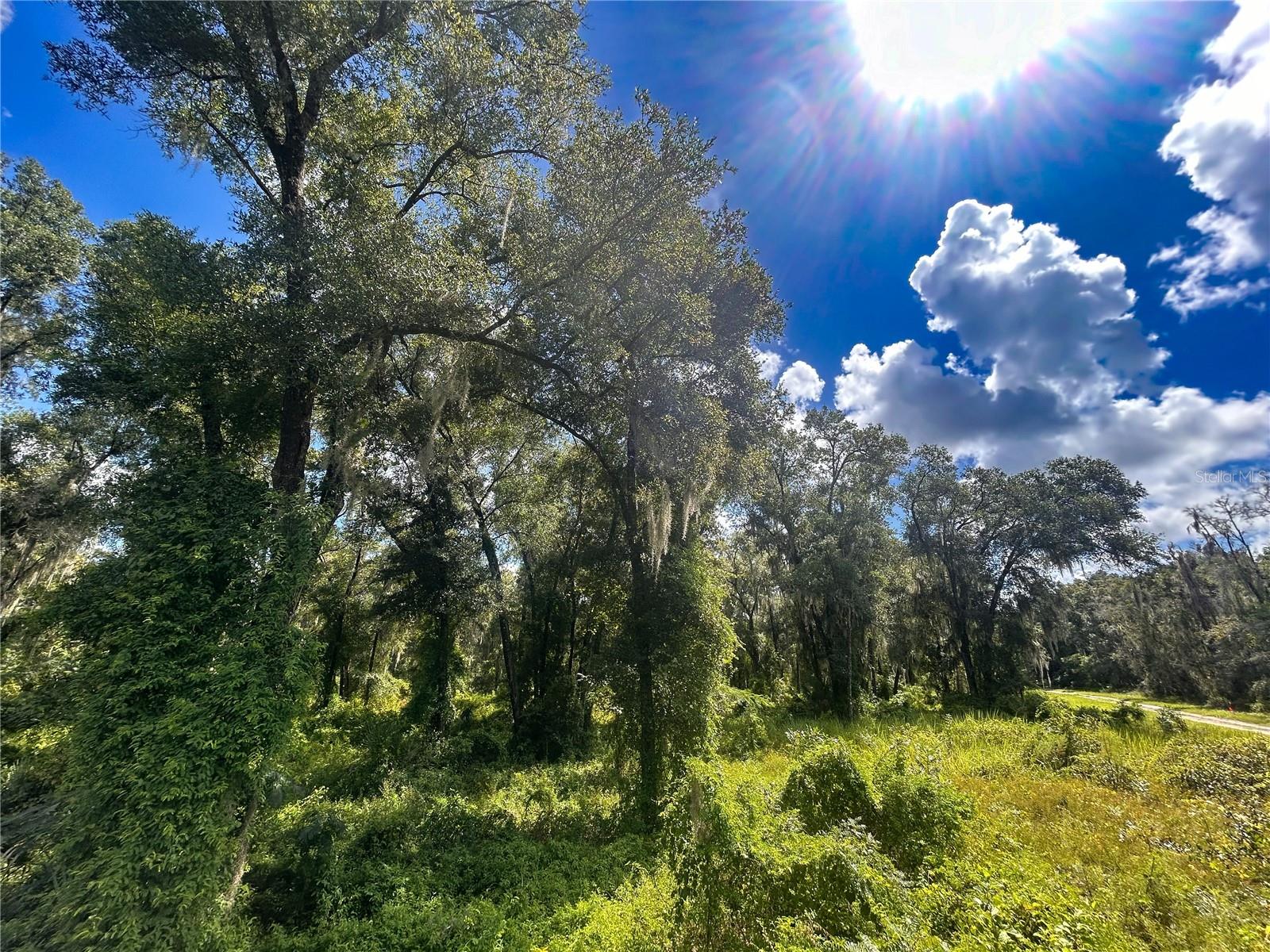 Discover the perfect blend of seclusion and convenience with this exceptional 5-acre parcel of land situated just 15 minutes from Downtown DeLand. Zoned agricultural, this property offers endless possibilities for your dream project or a peaceful retreat. Nestled on a quiet, shared road with only one neighboring house, you'll enjoy the tranquility and privacy that come with the rural setting. Whether you envision a sprawling estate, a hobby farm, or a serene getaway, this land provides the canvas for your future. Property is not located in a flood zone or HOA! Don’t miss the opportunity to build your dream retreat!
