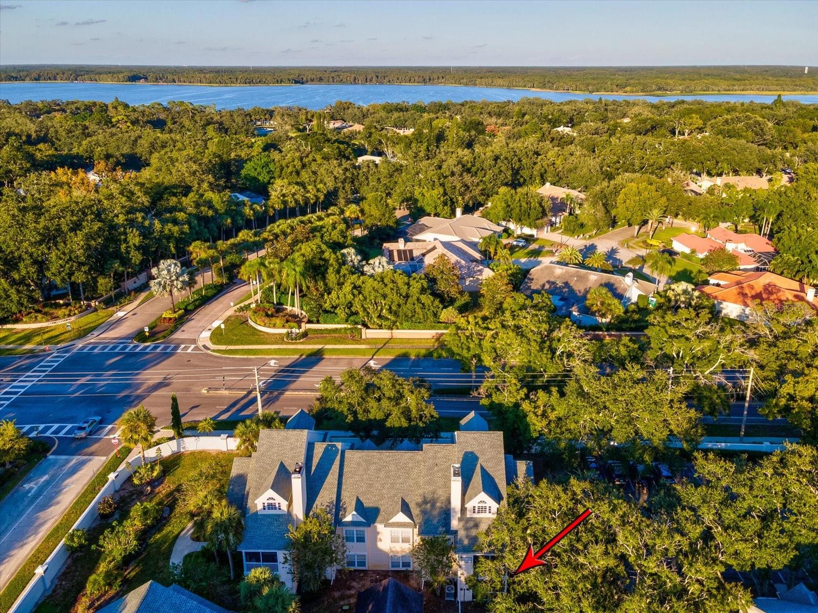 BENTLEY AT COBBS LANDING CONDO THE - Residential