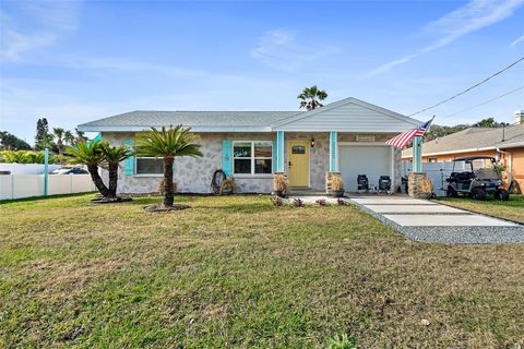 A home in FLAGLER BEACH