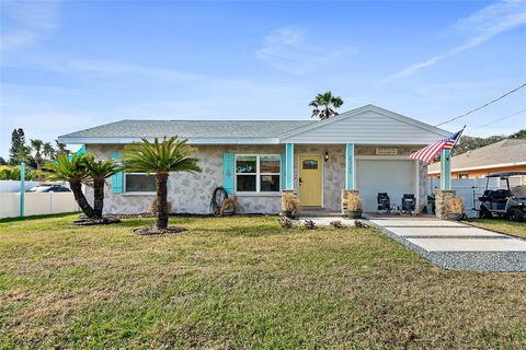 A home in FLAGLER BEACH