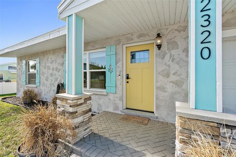 A home in FLAGLER BEACH