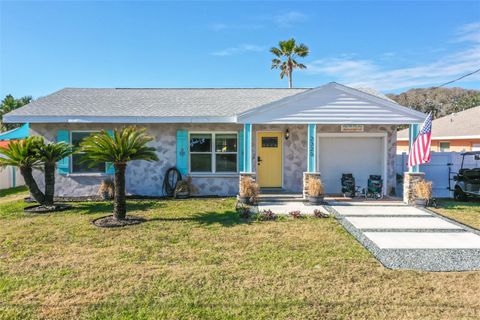 A home in FLAGLER BEACH