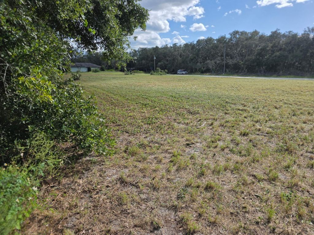 Photo of 470 N Barrie Road, Avon Park, FL 33825 (MLS # O6342607)