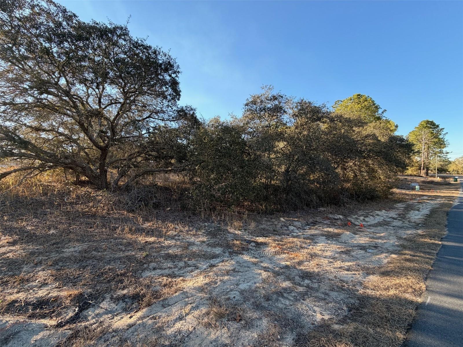 CITRUS SPGS UNIT 22 - Land