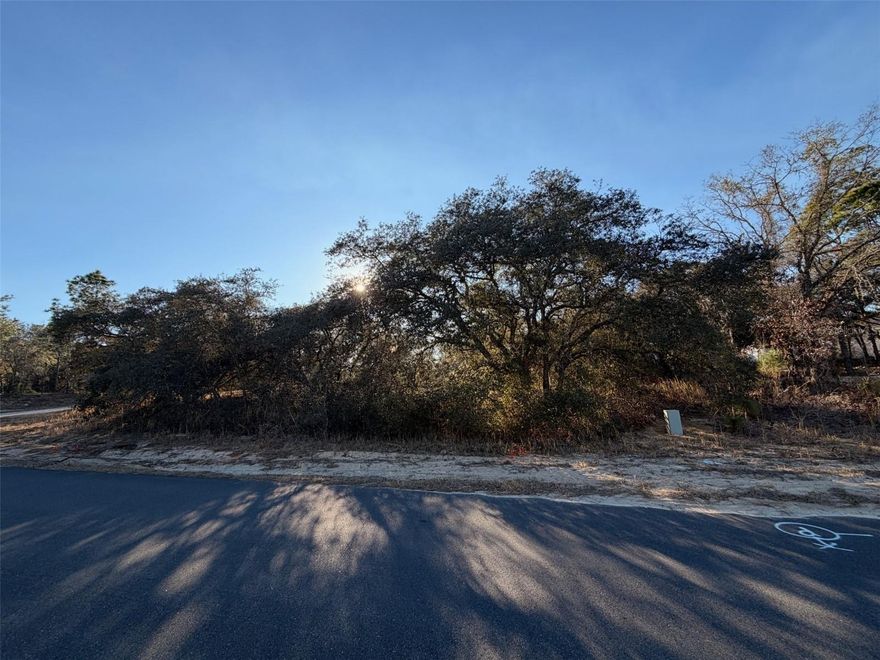 Build your Florida dream in the heart of Citrus Springs! This corner vacant lot at 6818 N Waycross Way is located on a quiet residential street in a growing community known for its natural beauty and laid-back lifestyle. With no HOA, the property offers flexibility and a great opportunity to build a custom home or hold as an investment in desirable Citrus County. Citrus Springs is known for its nearby parks, golf courses, and easy access to the area’s famous crystal-clear springs. Conveniently located near shopping, dining, and major roadways, this lot offers both peace and accessibility, perfect for future plans or long-term investment.

Buyer to verify availability of utilities and residential zoning.