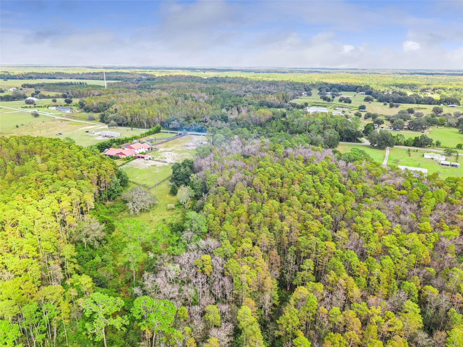 GROVELAND FARMS 21-23-24 - Land