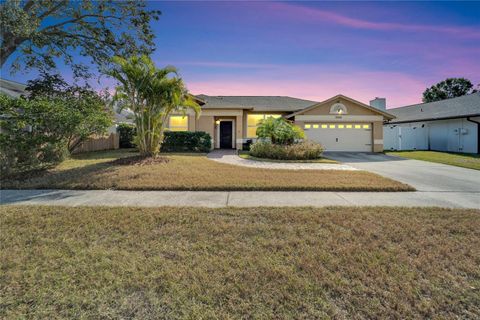 A home in TAMPA