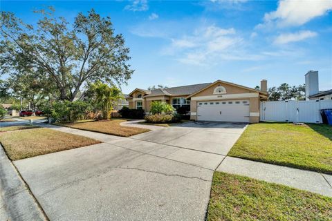 A home in TAMPA