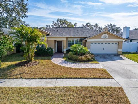 A home in TAMPA