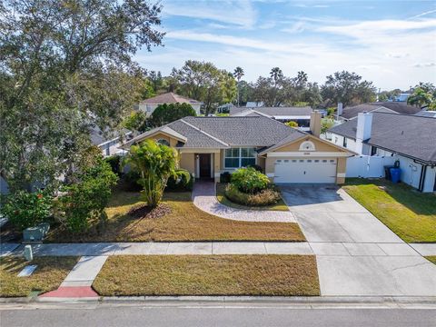 A home in TAMPA