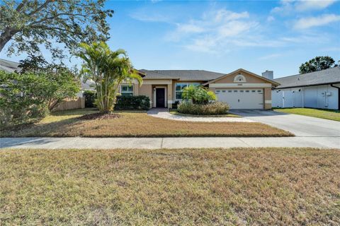 A home in TAMPA