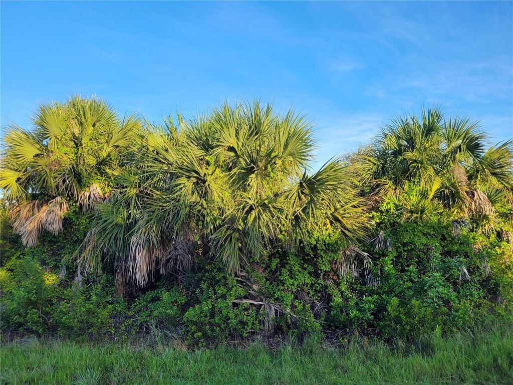 Photo of 9546 Melody Circle, Port Charlotte, FL 33981 (MLS # D6143145)