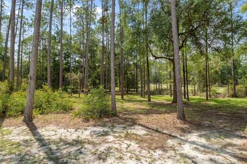 Tiny photo for 21747 SW 82nd Loop, Dunnellon, FL 34431 (MLS # OM731072)