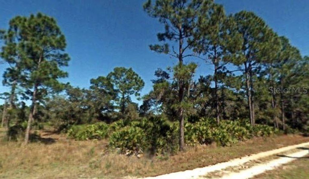 Photo of 10146 Roundtree Drive, Sebring, FL 33875 (MLS # A4669023)