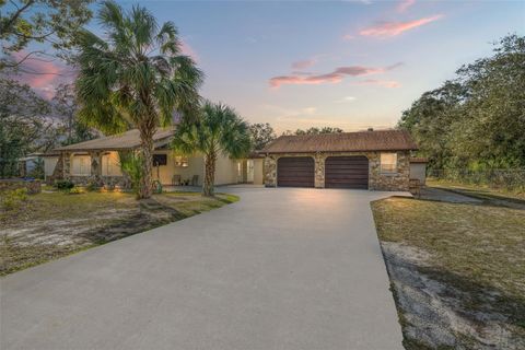 Photo of 18801 Orange Hill Drive, Hudson, FL 34667 (MLS # W7883664)