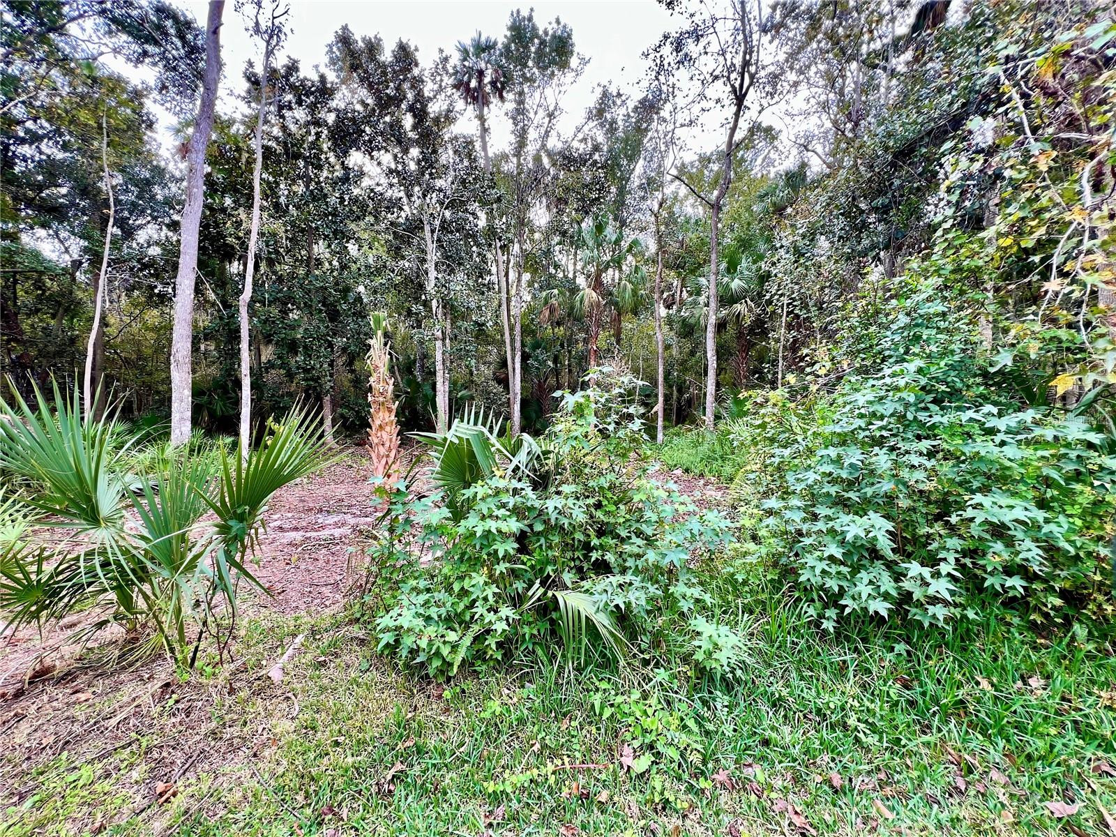 CELEBRATION LAKE EVALYN - Residential