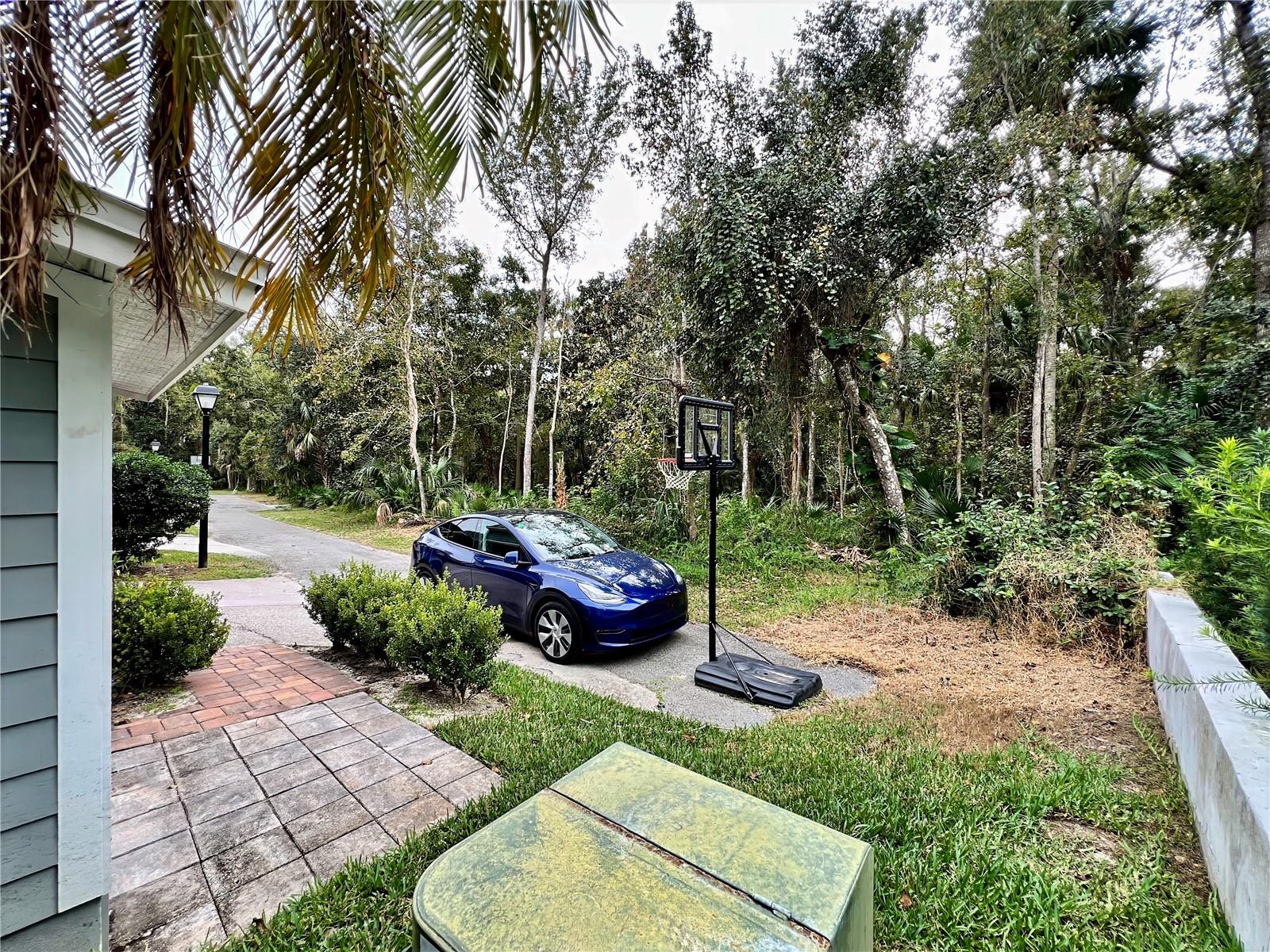 CELEBRATION LAKE EVALYN - Residential