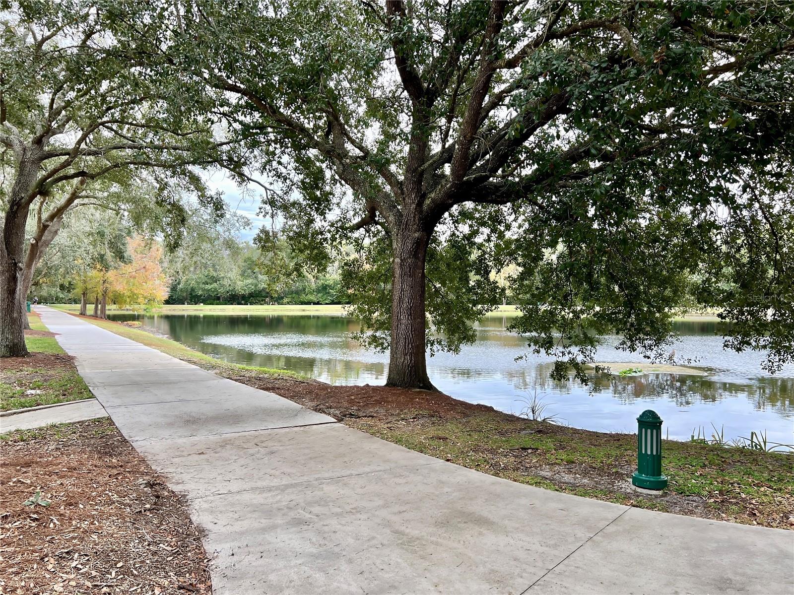 CELEBRATION LAKE EVALYN - Residential