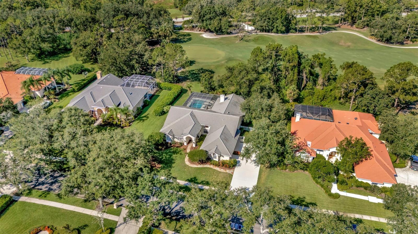 8910 MAGNOLIA CHASE CIRCLE TAMPA - 2285238979