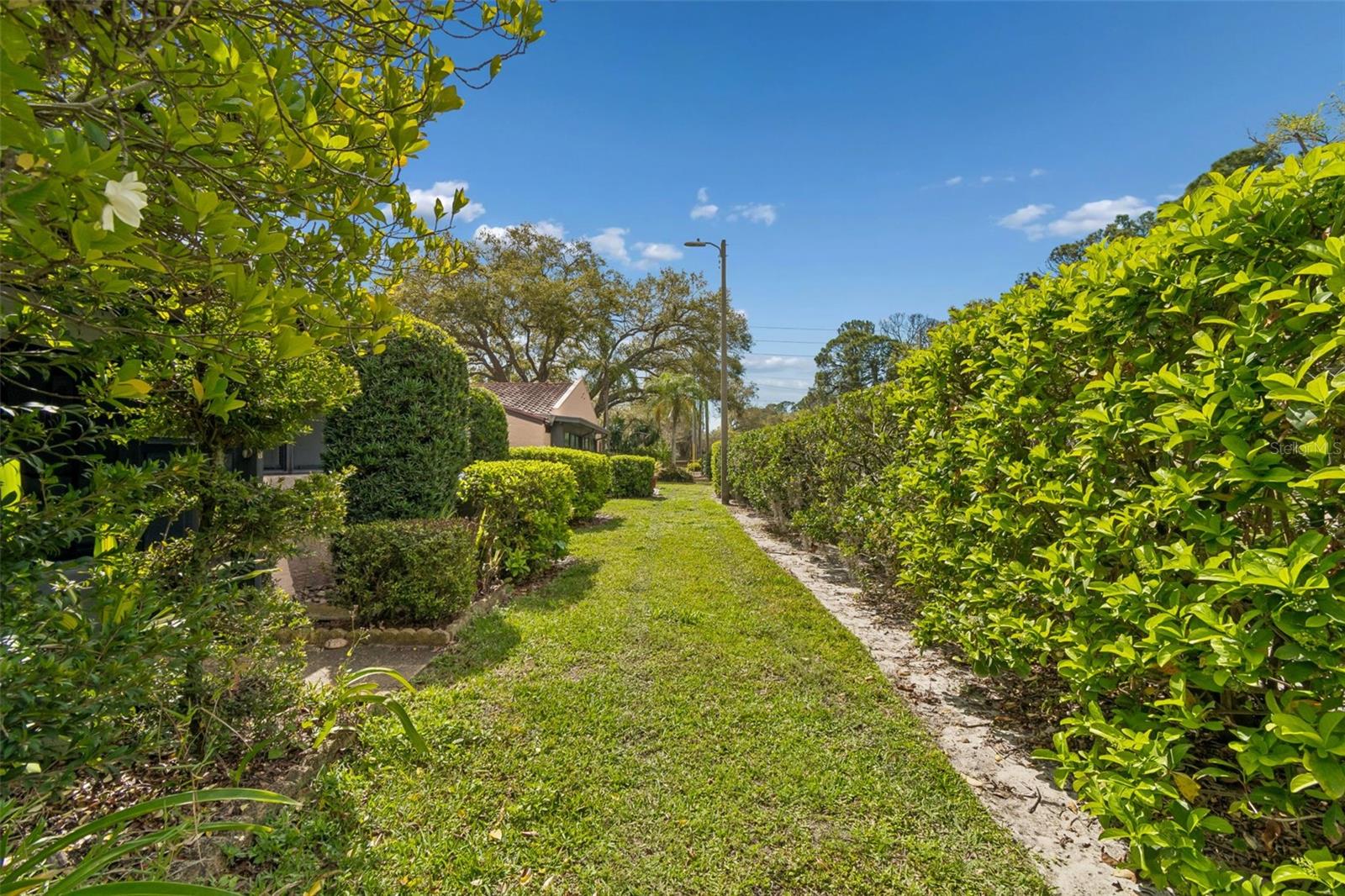 TIMBERWOODS CONDO - Residential