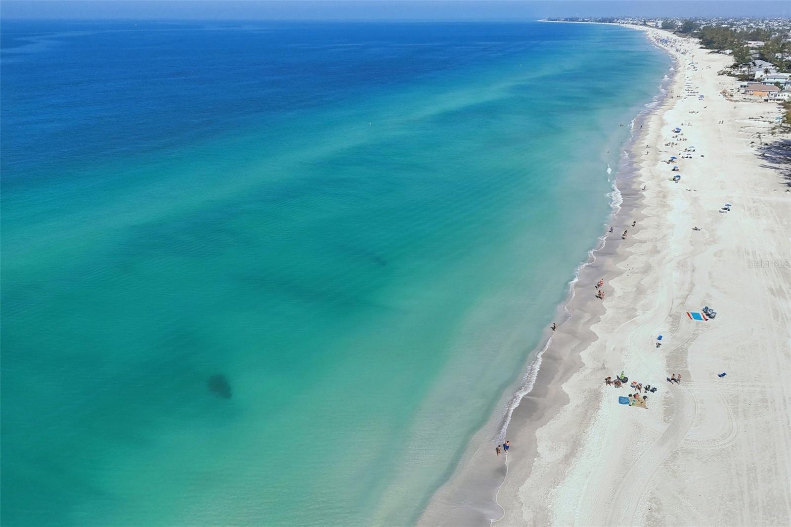 ILEXHURST - Residential