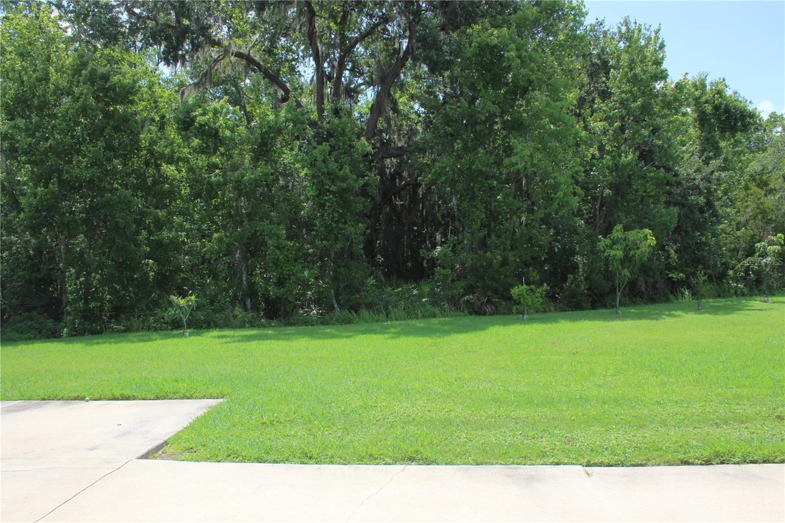 BRIGHTON LAKES PH 1 PARCELS A & G - Residential