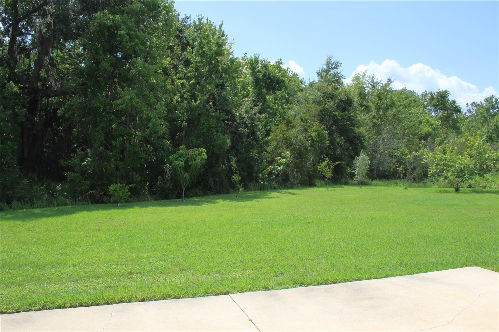 BRIGHTON LAKES PH 1 PARCELS A & G - Residential