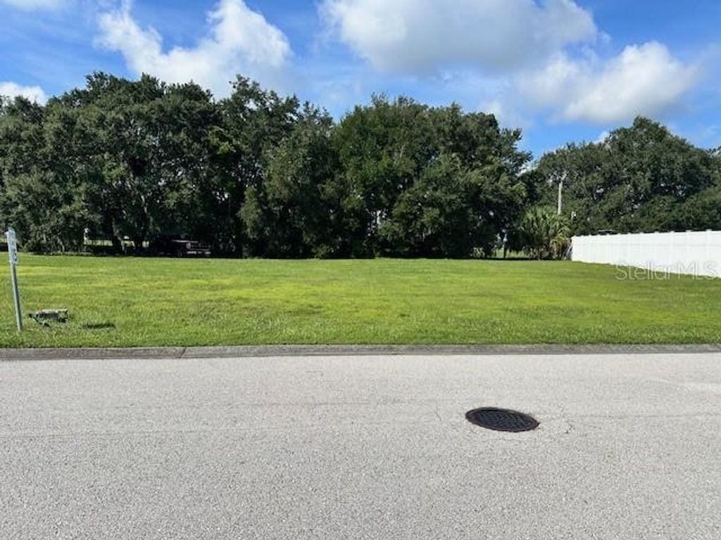 Photo of 110 Laynewade Road, Polk City, FL 33868 (MLS # L4947676)