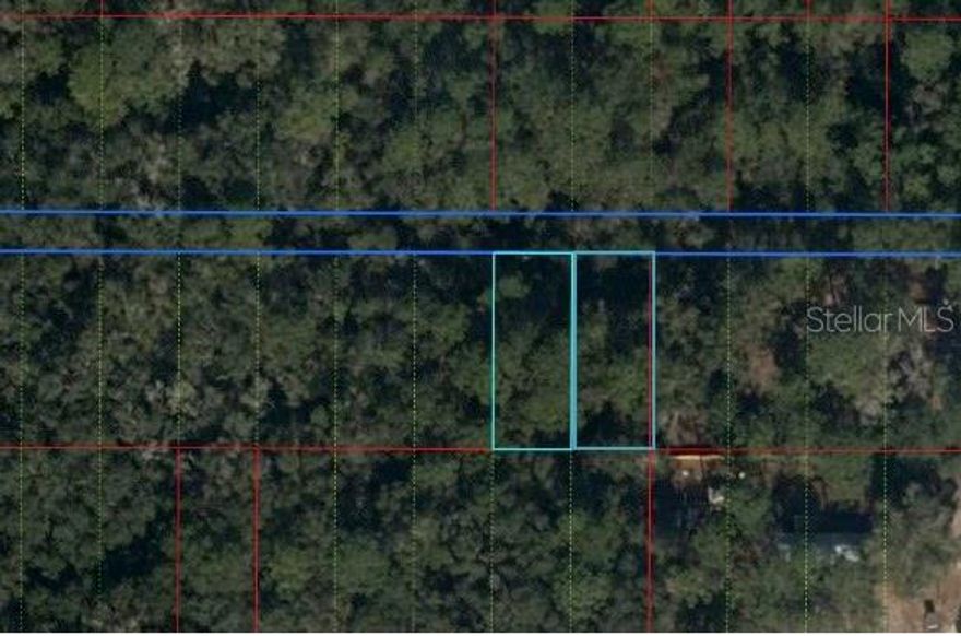 Uncover your own piece of paradise in Chiefland, Florida! This 0.18-acre vacant lot, nestled in the heart of this serene unincorporated community, is your ticket to tranquility in Levy County. Ready to build your dream home? This property is a blank canvas awaiting your architectural masterpiece. Take a leisurely 30-minute drive to the coastal charm of Cedar Key or venture an hour to the cultural hub of Gainesville. Explore the historical gems and local delights of Chiefland, and turn this blank canvas into the backdrop of your next chapter. More lots available from the same owner.
