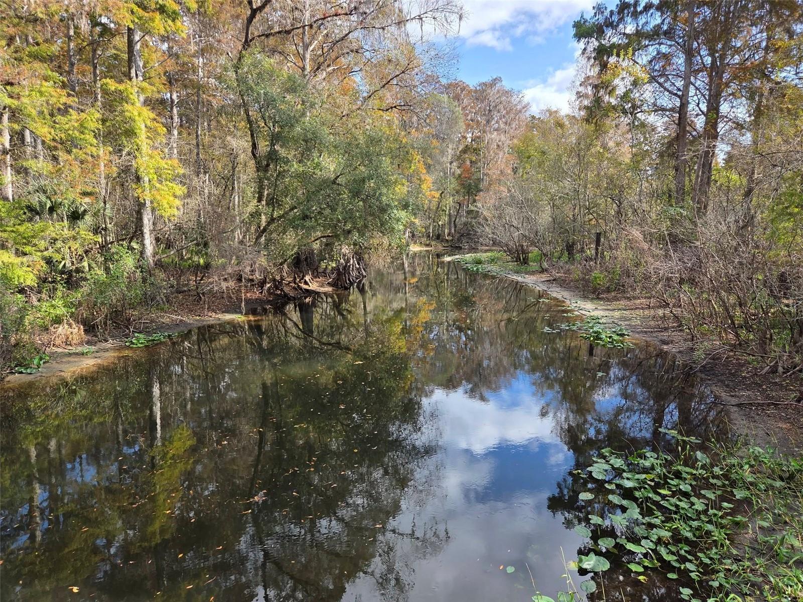 THE PRESERVE AT TEMPLE TERRACE - Residential