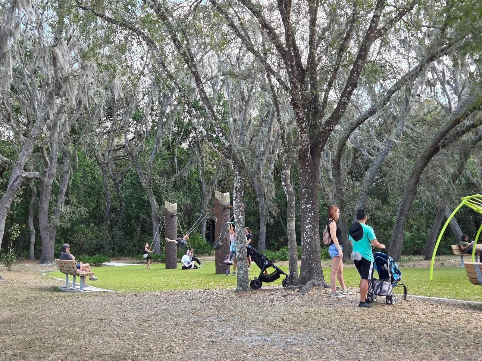 THE PRESERVE AT TEMPLE TERRACE - Residential