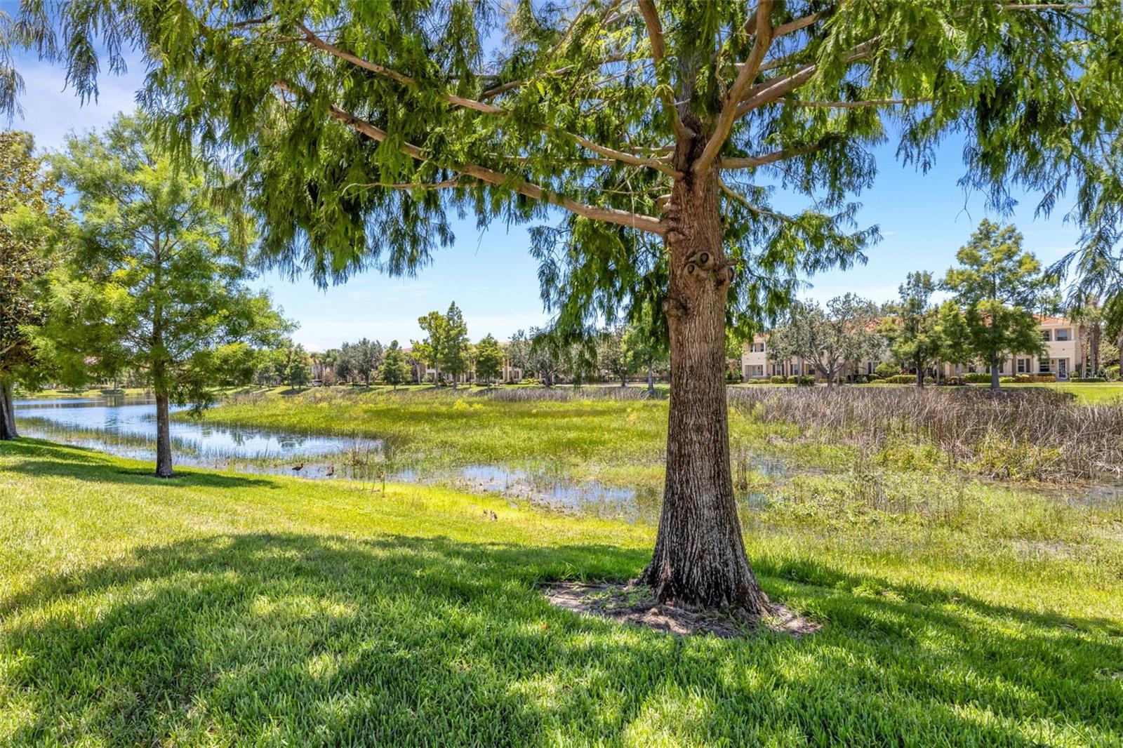 3766 82ND AVENUE CIRCLE E 106
