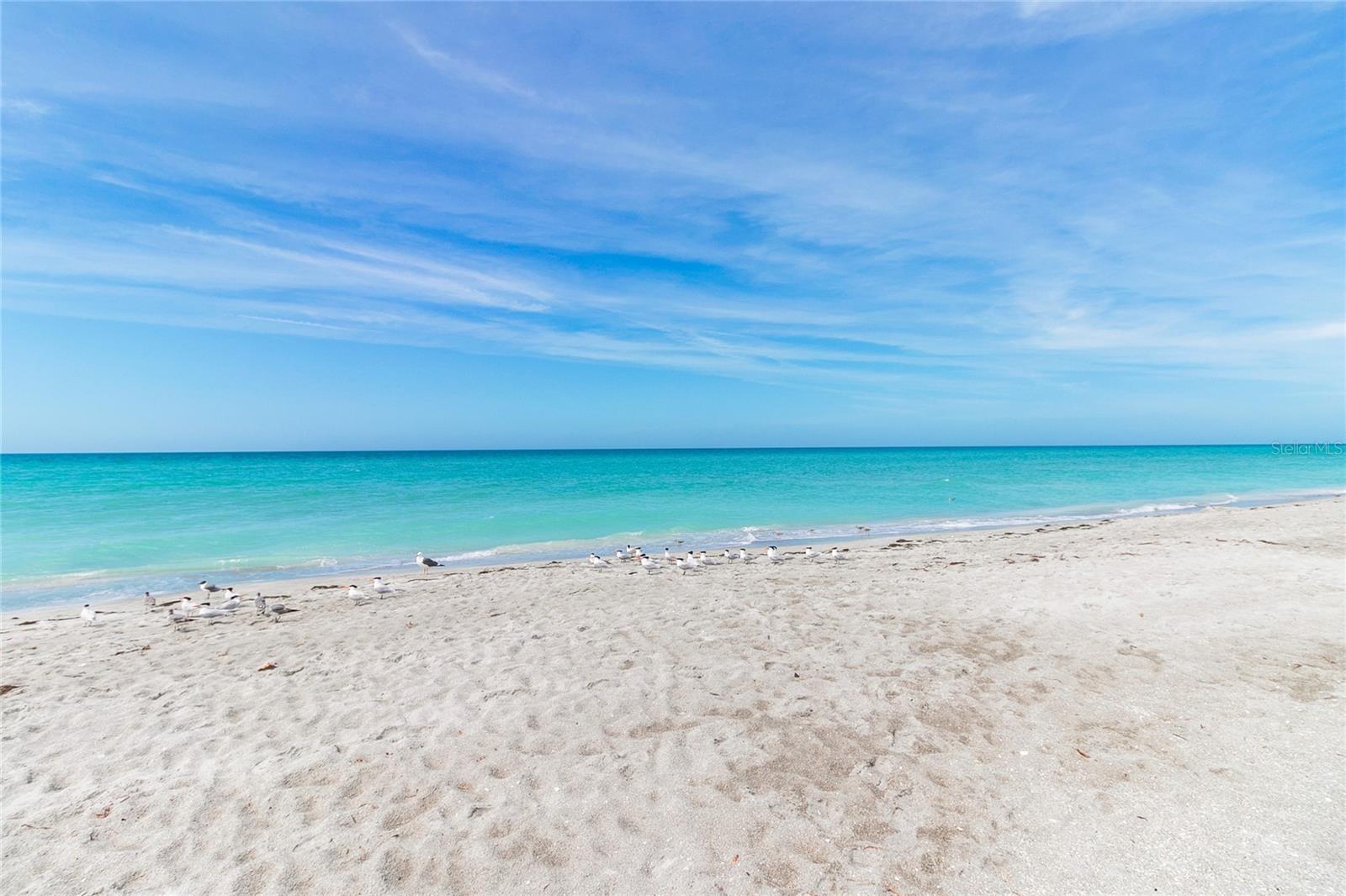 BEACHPLACE III - Residential