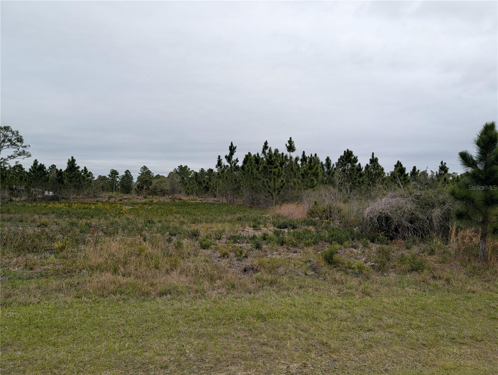 INDIAN LAKE EAST - Land