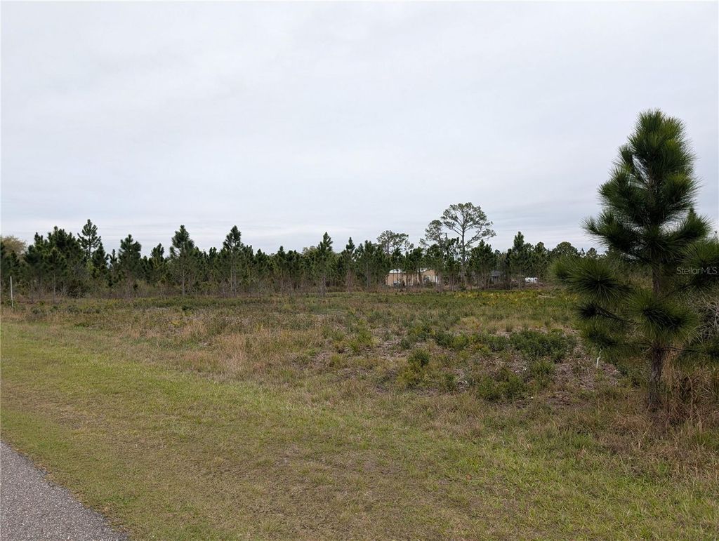 Photo of 224 Poinciana Drive, Indian Lake Estates, FL 33855 (MLS # P4938160)