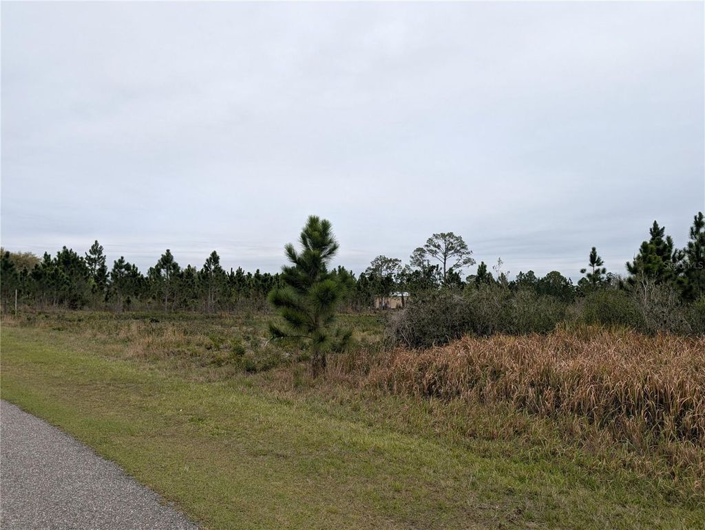 Photo of 224 Poinciana Drive, Indian Lake Estates, FL 33855 (MLS # P4938160)