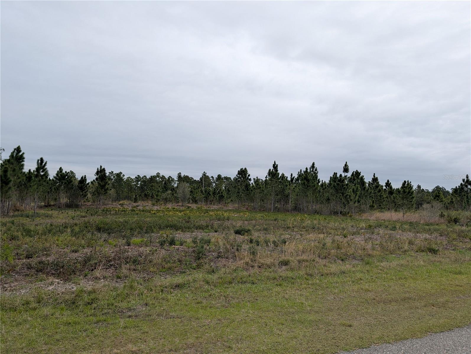 INDIAN LAKE EAST - Land